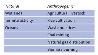 _images/methane.png